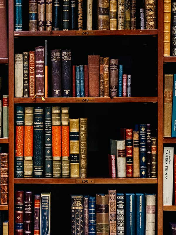 A bookshelf crowded with books.